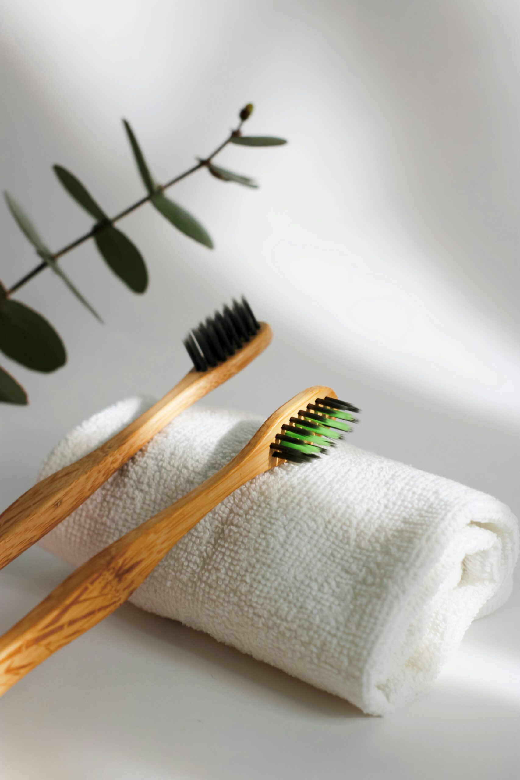 Bamboo Toothbrush